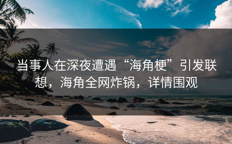 当事人在深夜遭遇“海角梗”引发联想，海角全网炸锅，详情围观