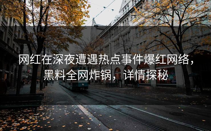网红在深夜遭遇热点事件爆红网络，黑料全网炸锅，详情探秘