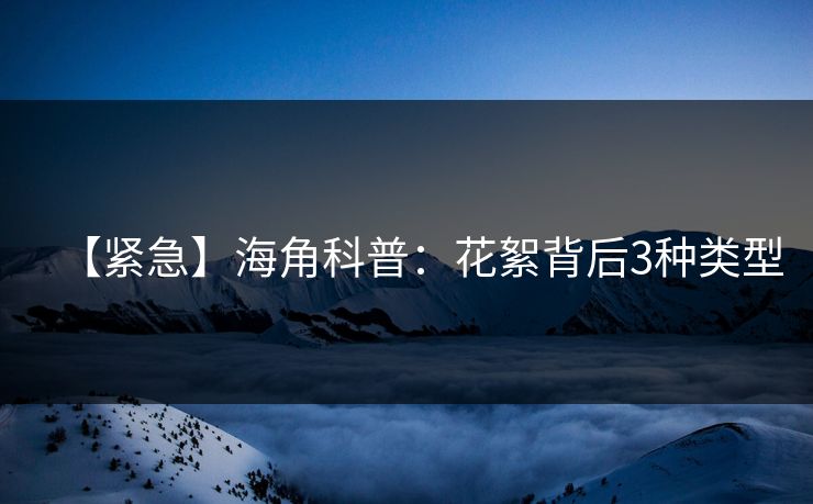 【紧急】海角科普：花絮背后3种类型