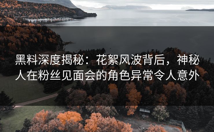 黑料深度揭秘：花絮风波背后，神秘人在粉丝见面会的角色异常令人意外