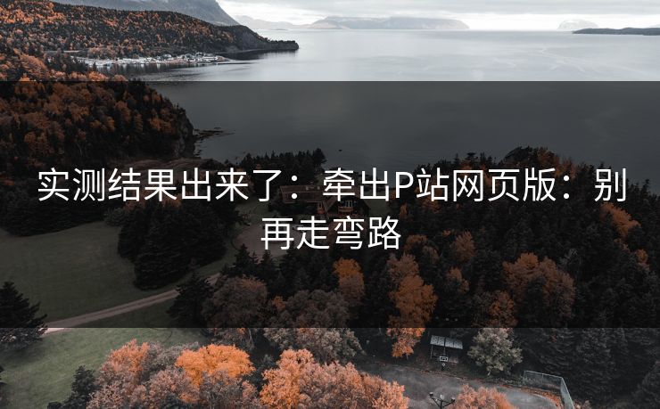 实测结果出来了：牵出P站网页版：别再走弯路